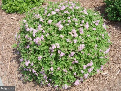 11041 Heathland Dr, Oakton, VA 22124 - photo 6