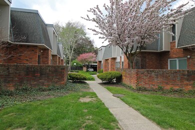 Brick walls & exteriors