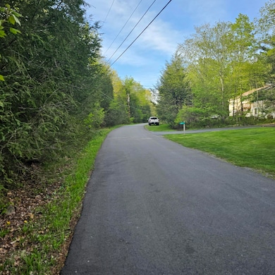 211 Alter Ave, Pocono Summit, PA 18346 - photo 6