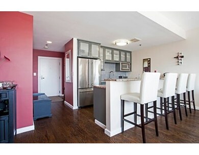 The Strada 234 unit 1110, Boston, MA 02114 - photo 7