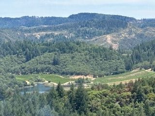 4901 Stewarts Point Skaggs Springs Rd, Geyserville, CA 95441 - photo 4