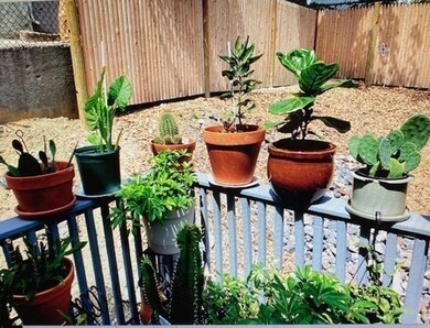 302 Princeton St unit 1, Boston, MA 02128 - photo 2