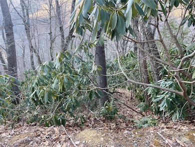 TBD Big Ridge Rd, Bakersville, NC 28705 - photo 4