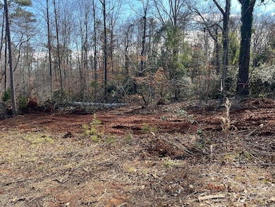 000 Hudlow Rd unit 4, Forest City, NC 28043 - photo 5