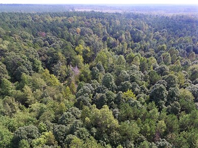 0 Beagle Run Ln, Red Oak, VA 23821 - photo 5