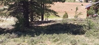 Middle of property
