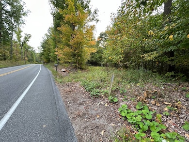 0 Rt 271 (Menhore Blvd) unit 11357205, Johnstown, PA 15905 - photo 7