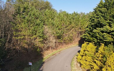 Additional View