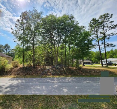 0 SW 199th Ct, Dunnellon, FL 34431 - photo 6