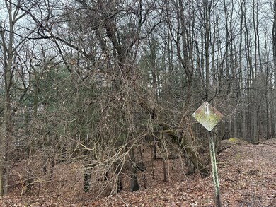 3E1E4617-0641-4C33-B209-C5A93D5EB707