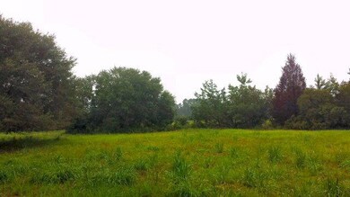 summitt plantation 2