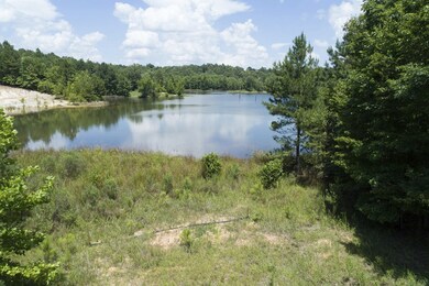 00 Spring Lake Cove, Oxford, MS 38655 - photo 3
