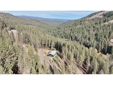 48144 E Pine Creek Rd, Halfway, OR 97834 - photo 2