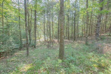 0 Glebe Rd unit Lot 35 4971368, Lyman, NH 03585 - photo 6