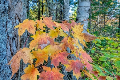 Off S Turtle Lake Rd unit S5, Winchester, WI 54557 - photo 2