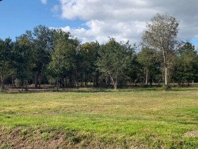 2714 County Road 160 Lot 29, Alvin, TX 77511 - photo 2