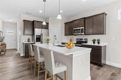 891 Walter Way, Washington, MO 63090 - photo 2