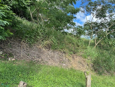 Km 3.9 Carr 189, Gurabo, PR 00778 - photo 2