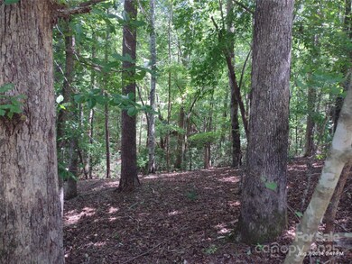 00 Shumont Estates Dr unit 50, Lake Lure, NC 28746 - photo 2