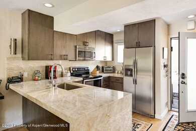 814 W Bleeker St E2 Aspen CO-small-010-6