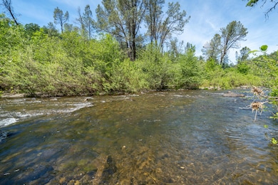 Swimming/Trout Fishing