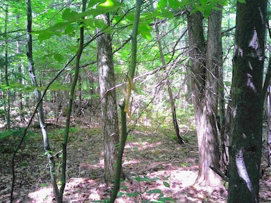 7 Jude Blvd, Ossipee, NH 03864 - photo 4