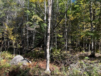 M6L16-12-3 Beaver Brook Rd, Bowerbank, ME 04426 - photo 6