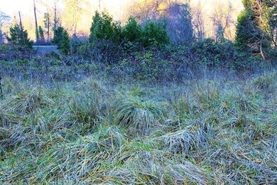 6105 Rogue River Hwy, Rogue River, OR 97537 - photo 6