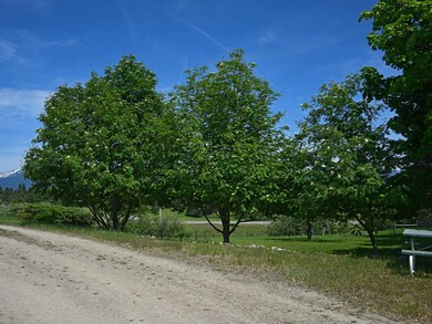 105 Ramsfield Rd, Bigfork, MT 59911 - photo 5