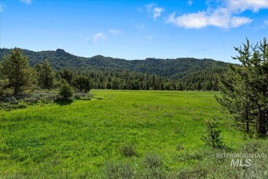 View of mountain background with a heavily wooded area