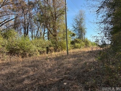 0 Hempstead 148 Rd, Hope, AR 71801 - photo 2