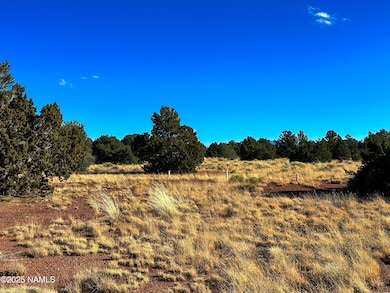 2902 S Goldenrod Dr, Williams, AZ 86046 - photo 7