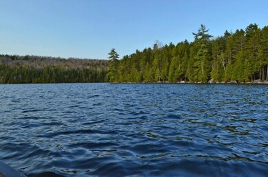Cold Stream Pond