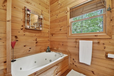 270 Walnut Mountain Rd, Ellijay, GA 30536 - photo 4