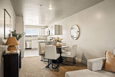 3-web-or-mls-_M3A8083