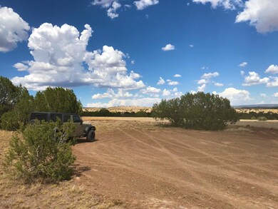 70 Off of Rawhide Ranch Rd, Ash Fork, AZ 86320 - photo 5