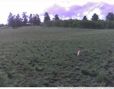 39 Pistol Way, Como, CO 80432 - photo 2