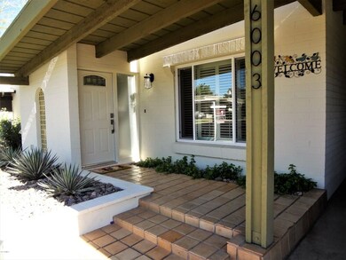 New Dual-Pane Windows