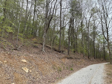 43 Deer Run Ln, Campton, KY 41301 - photo 4