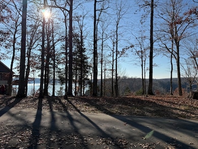 893 Lilly Creek Ln, Jamestown, KY 42629 - photo 6