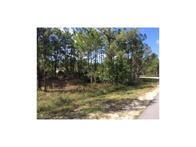 827 Oakridge Ave S, Lehigh Acres, FL 33974 - photo 4