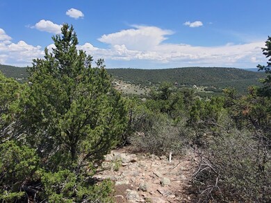 24 Mulberry Loop, Cedar Crest, NM 87008 - photo 2