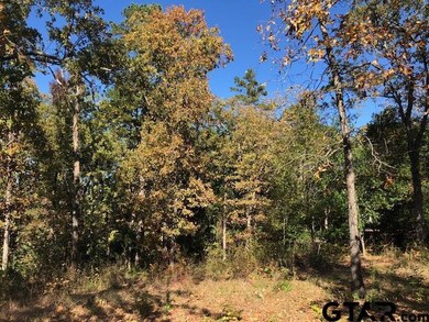 2035 Stonegate Valley Dr, Tyler, TX 75703 - photo 4