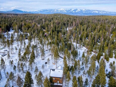 Whitefish New Build3