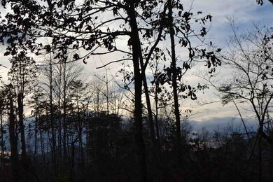 Lot 30 Springbranch Tr, Monroe, VA 22973 - photo 3