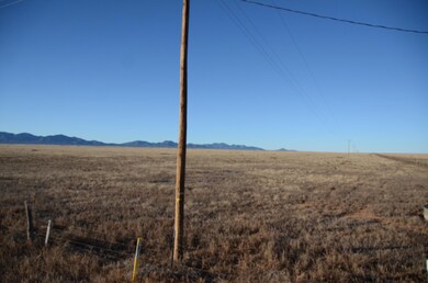 xx Valley Irrigation Rd, Stanley, NM 87056 - photo 3