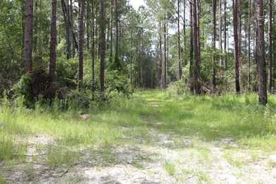 0 Rd, Garfield, GA 30425 - photo 2