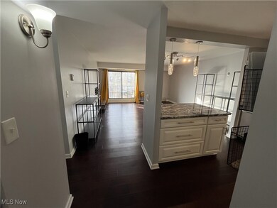 Kitchen featuring stone countertops, pendant lighting, white cabinets, and dark hardwood / wood-style flooring