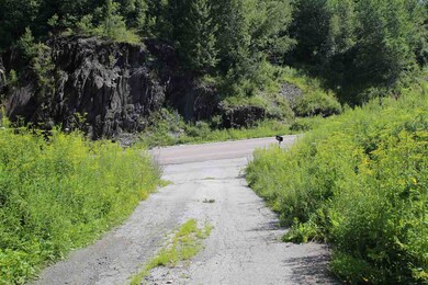 294 Vermont 64 unit Lot 2, Northfield, VT 05663 - photo 2