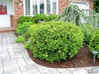 7413 Franks Dr, Bath, PA 18014 - photo 2